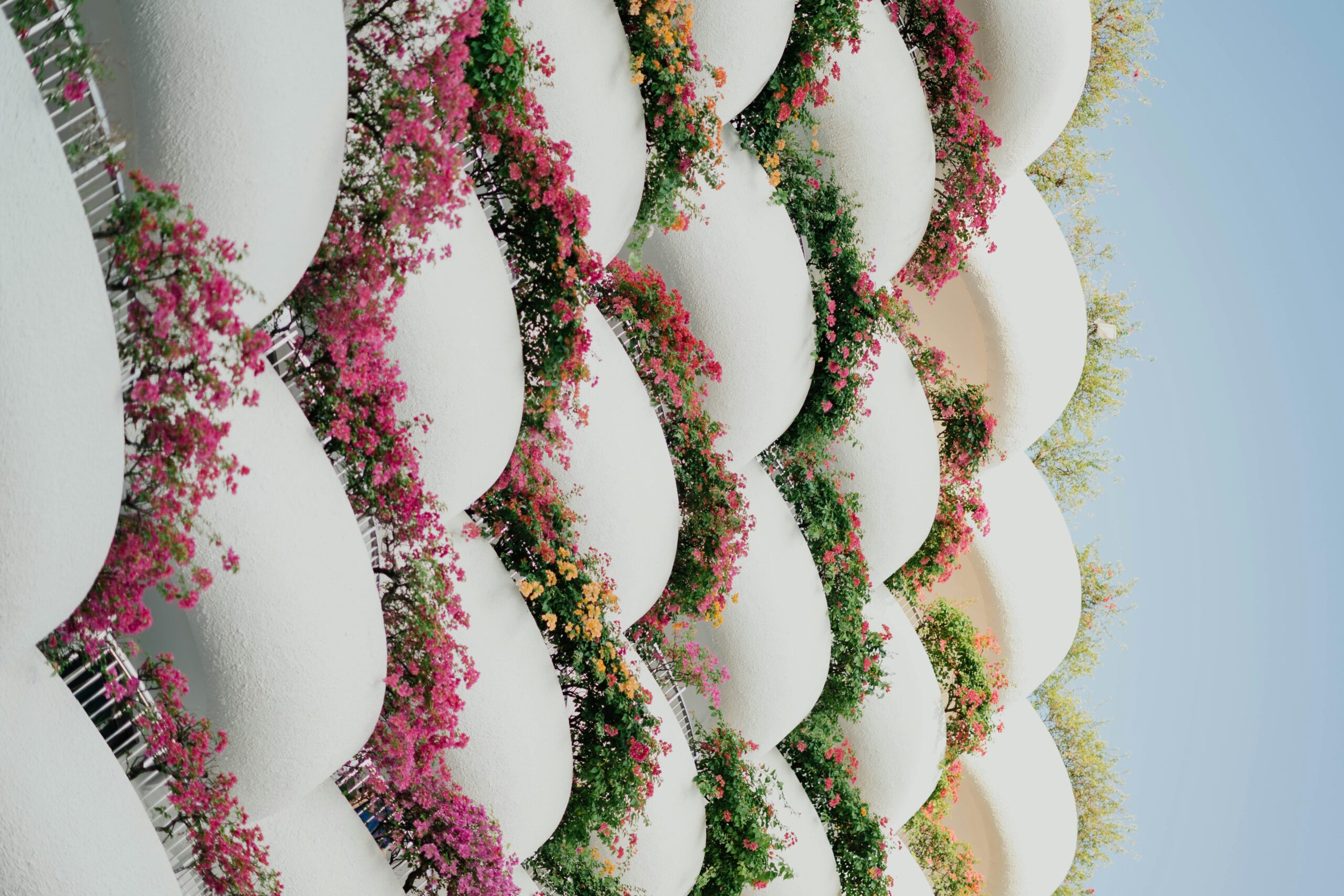 Close-up image of multiple mascaras arranged neatly on white background