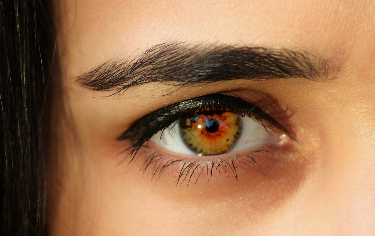 The Ultimate Guide to Finding the Best All-Occasion Mascara (On a Budget)